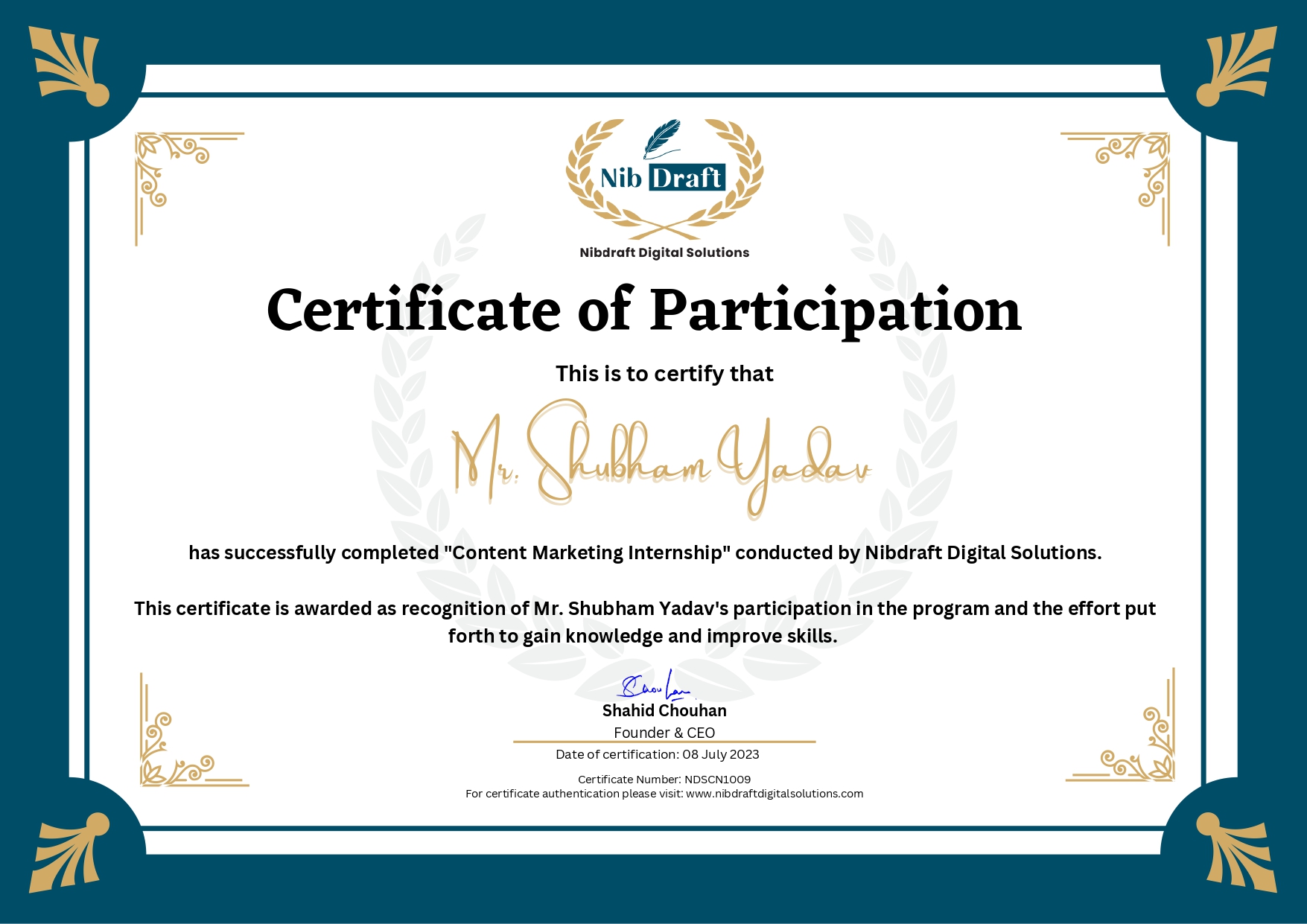 NDSCN1009: Mr. Shubham Yadav